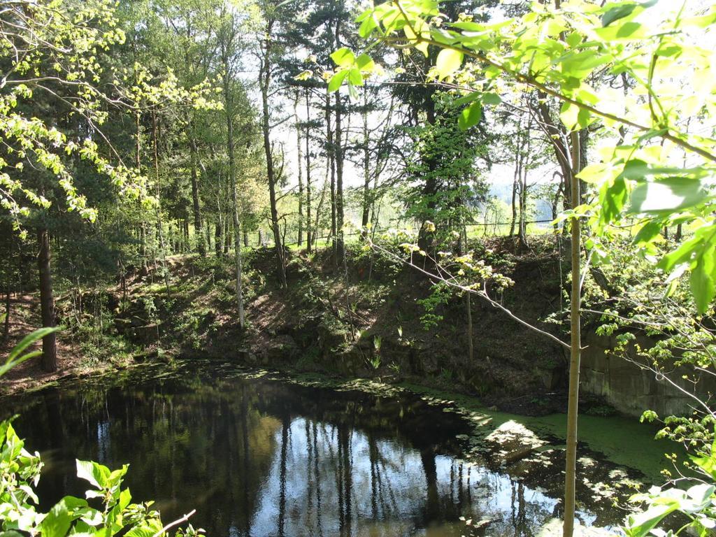 Baumhaus Lodge Schrems Schrems  Bagian luar foto